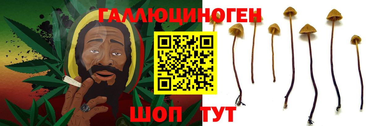 Галлюциногенные грибы прущие грибы Дедовск